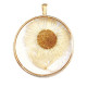 Hanger met gedroogde bloemetjes 35mm - Gold-beige